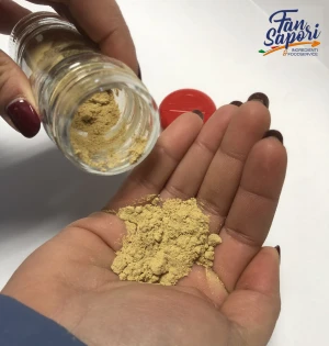 Good Quality New Product Dried Bulk Ginger Juice Root Powder