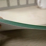 Green pvc belt