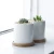Import Greenaholics Succulent Plant Pots Containers, with Bamboo Tray from China