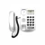 Import GuangdongNewest Product Caller ID Desktop Wall Mountable Landline Telephone for Europe Market with OEM/ODM Services from China