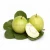 Import Guava Seed Oil Bulk Price from India