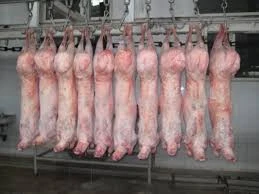 Halal Goat Carcass