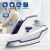 Import Handheld Adjustable Variable Electric Clothing Ceramic Dry Steam Press Dry Iron from China
