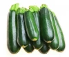 Healthy Food Fresh Organic Vegetable Pickled Cucumber
