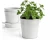 Import Herb Pot Planter Set with Tray for Indoor Garden or Outdoor Use, Decorative White Metal Succulent Potted Planters for Kitchen from China