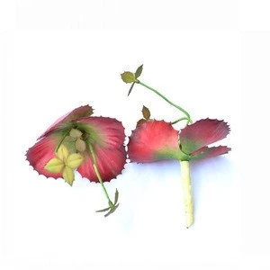 High Hand-Feeling Succulent Artificial Double Butterfly For Home Decoration From Factory Direct