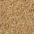 Import High Quality Barley Seeds For Animal Feed from India