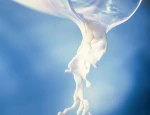 High Quality Food Additive DVS Yogurt Starter Culture