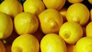 High Quality Fresh Lemon