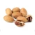 Import High Quality Fresh Peeled From Peru Pecan nuts Pecana from Peru