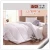 Import High Quality Hilton Hotel Used 400GSM Microfiber Filling White Silk Quilt from China