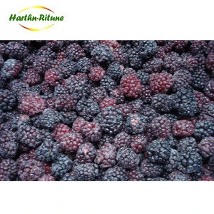 High quality new harvest crop low price IQF berries blackberry fruit 10kg bulk juice