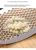 Import High Quality Stainless Steel Manual Garlic Squeeze Crusher Press for Kitchen Vegetable Use from China