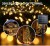 Import Holiday lighting 10m 100 christmas lights led string for christmas decoration  lights  outdoor from China