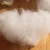 Import Hollow Silicon Polyester staple fiber 7D 15D from China