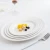 Import hot sale 9 inch melamine restaurant white opal dish plate from China
