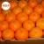 Import Hot sale Fresh Citrus Fruits / Fresh Mandarin Oranges / Naval Orange / Valencia Orange / Oranges from Pakistan