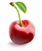 Hot sale high quality fresh delicious cherry