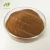 Import Hot sale organic instant  Grifola Frondosa maitake mushroom extract from China