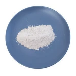 Hot selling organic bentonite for paint  sodium nano-organo bentonite with 3000 mesh organoclay factory price