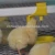 Import Huabo animal husbandry chicken nipple drinker from China