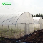 Hualiang 200 micron Film UV Treated Plastic Film Tunnel Greenhouse