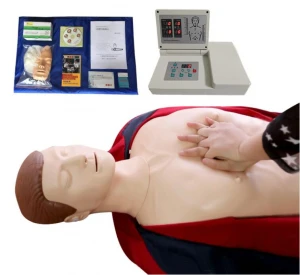 Human body Medical manikin, CPR training manikin, BLS manikin for CPR training Manikin