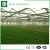 Import Hydroponics Tomatoes Glass Greenhouse,used commercial greenhouses,agriculture products from China