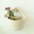 Import ICEBLUE HD Eco-Friendly Home Decor Wall hanging plant basket from China