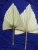 INS most popular dried flower Dried fan-shaped palm leaves for Wedding Decoration Flower