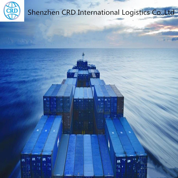 International freight forwarders ship to India by sea