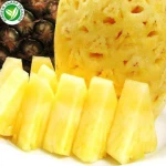 IQF Frozen Pineapples Dice Chunks