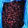 IQF Fruit Frozen Blackberry