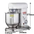 Import Kitchen good aid 10 speed Heavy Duty Commercial 300 Watts Stand Mixer from China