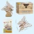 Import Kouyikou Cheap price  Model Laser CuttingDiy Insect DIY 3d Wooden puzzle educational toys for kids from China