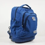 Large Capacity Waterproof School Kids Travel Trolley Backpack Wholesale Multifunction Kids Trolly School Bag With Wheels