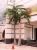 Import Large contemporary artificial plants and trees artificial palm trees from China