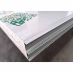lightweight eps panel foam ceiling panel/foam cement wall panel