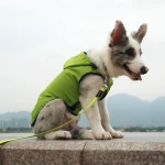 Lightweight Ripstop Mesh Lining Dog Raincoat Pet Apparel with Hoodie