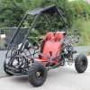 Lingsun Wholesale 110cc Go kart for adults and kids buggy 110cc with 2 seat