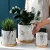 Import Living Room Decoration Bonsai Pot Cement Flower Pot Wholesale Indoor Succulent Plant Pots With Trays from China