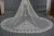 Import Long 5 Meter Lace Appliques Ivory Cathedral Wedding Veils from China