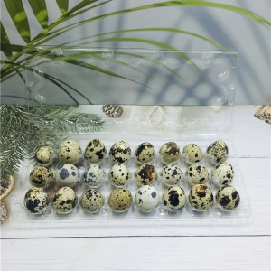 Manufactory Disposable plastic egg tray quail egg packing cartons 24 holes customized accepted
