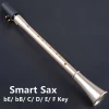 Mini Pocket bB/bE/C/D/E/F Key Saxophone Sax ABS Resin Lightweight Carrying Bag Woodwind Instrument for beginner