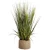 Import Modern Design simulation reed grass making artificial bonsai from China