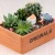 Import modern garden balcony decoration succulent indoor plant planters flower pots from China