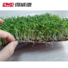 Moisture-Absorbent Microgreens and Grass Seed Starter Growing Media Pad Hydroponic Matting