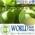 Import Monk fruit extract /Mogrosides 80% /Sweetener from China