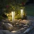 Import Multicolor Outdoor  garden lamp IP54 3w solar led garden light from China