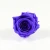 Multiple Colors 4 To 5 cm Preserved Rose Head Long Time Lasting Flowers